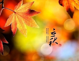  立秋已至，秋季家具如何保養？