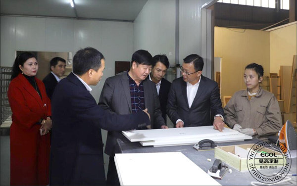 “聚焦環(huán)保家居 構(gòu)建健康生活”研討會(huì)在易高定制家居順利舉行!